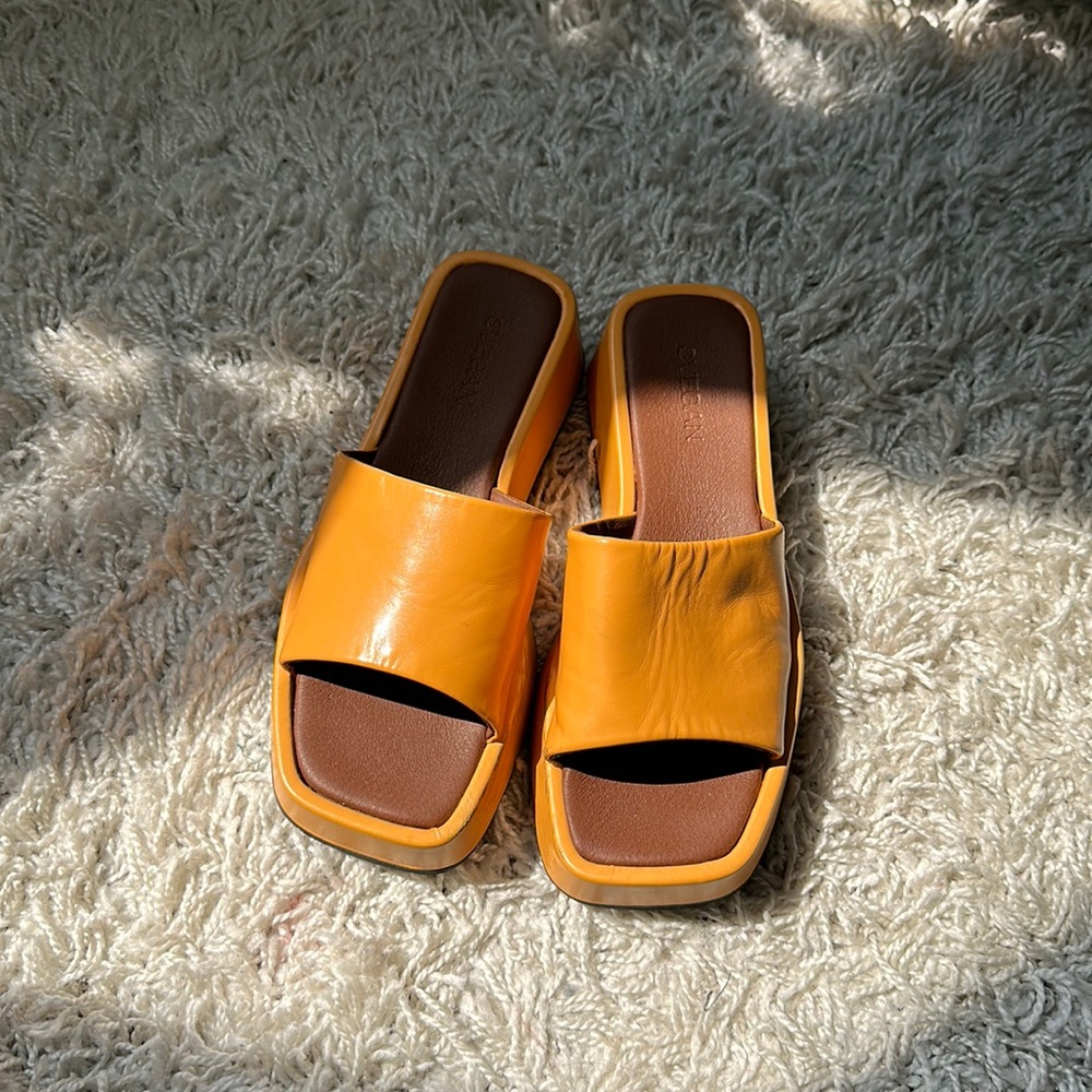 Alohas Mules